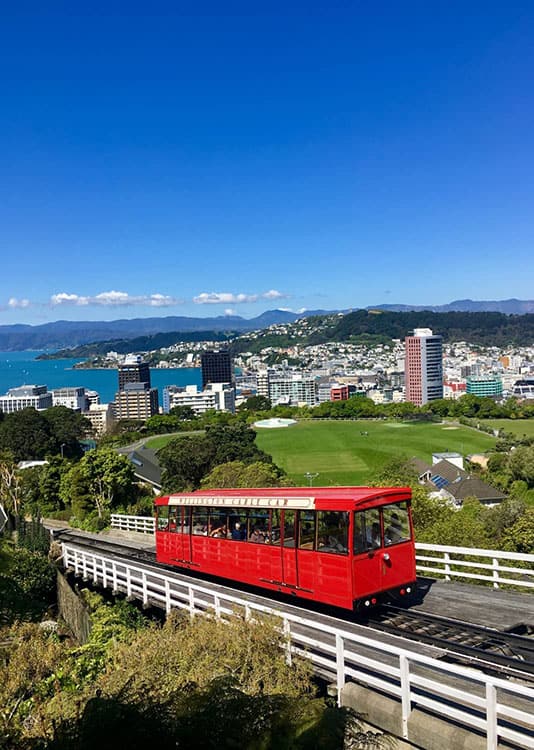 Wellington - City View