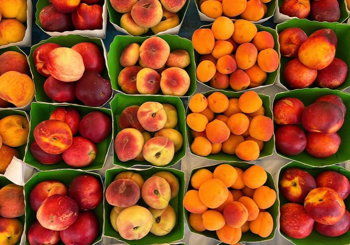 secret-food-tours-nice-image-11