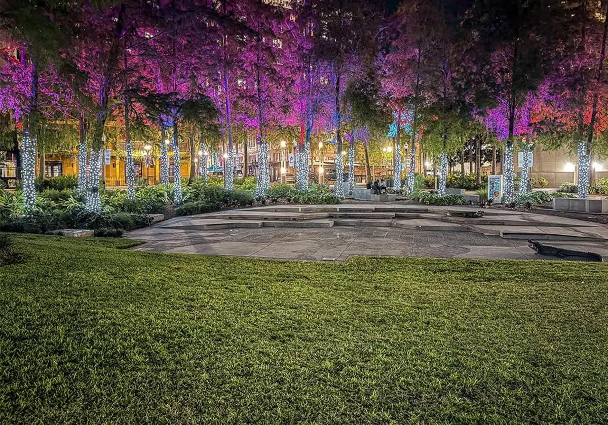 Lake Eola Park at night during the Orlando Food Tour experience