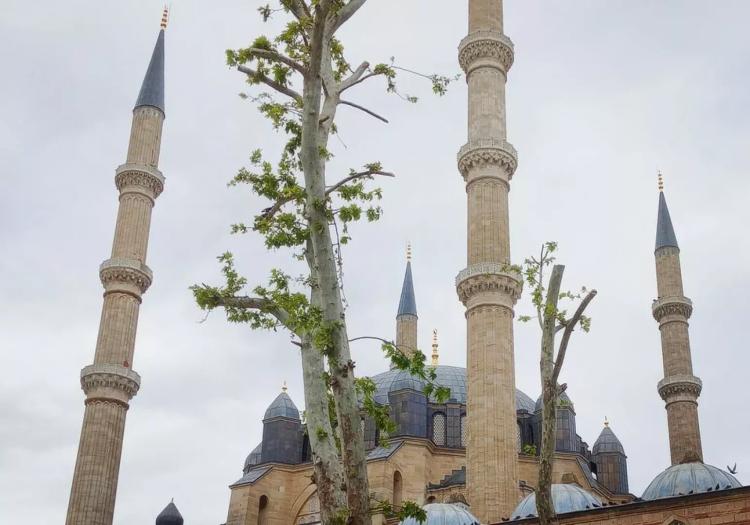 Photos Of Secret Tours Beirut