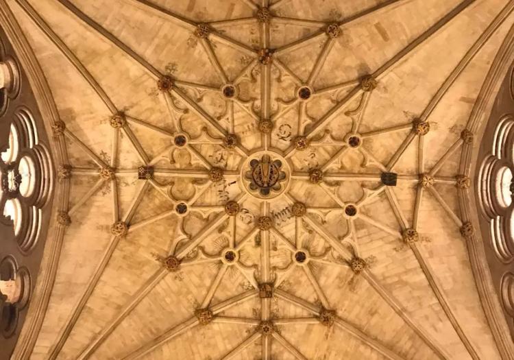 Photos of Secret Tours Cologne