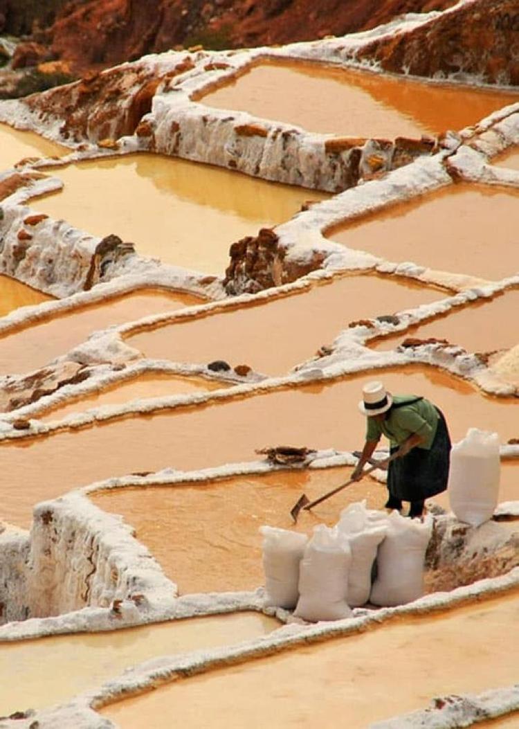 Salinas