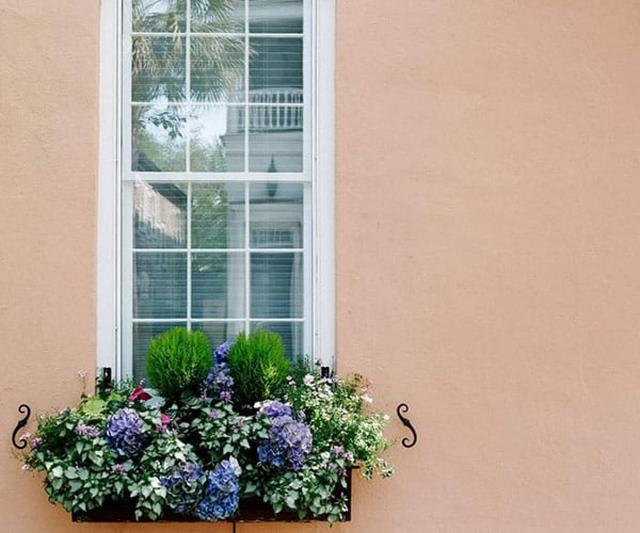 PHOTOS OF SECRET TOURS Charleston