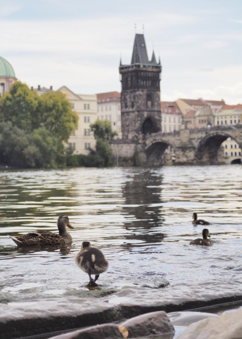 PhotoPrague