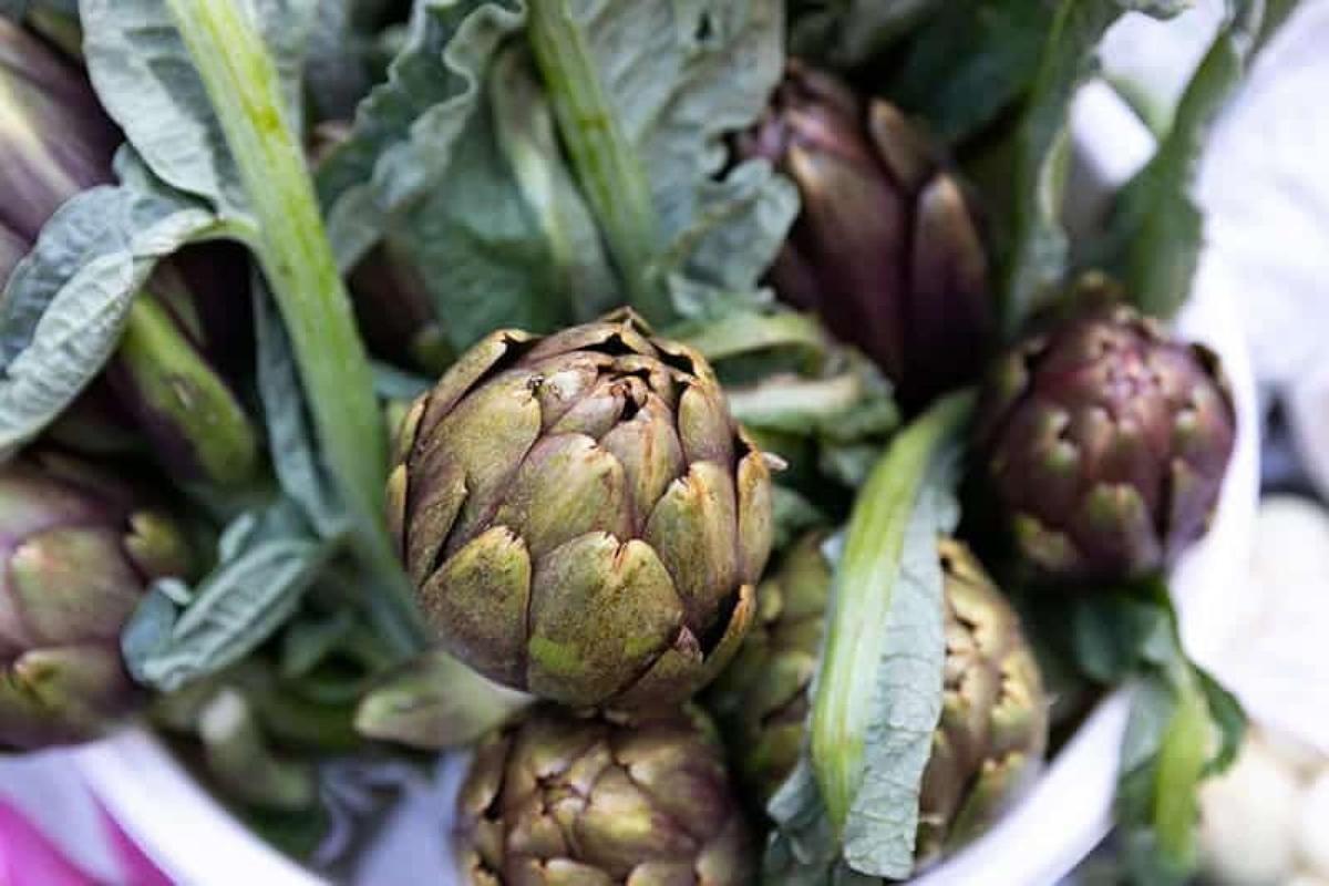Photos of Secret Food Tour: Florence