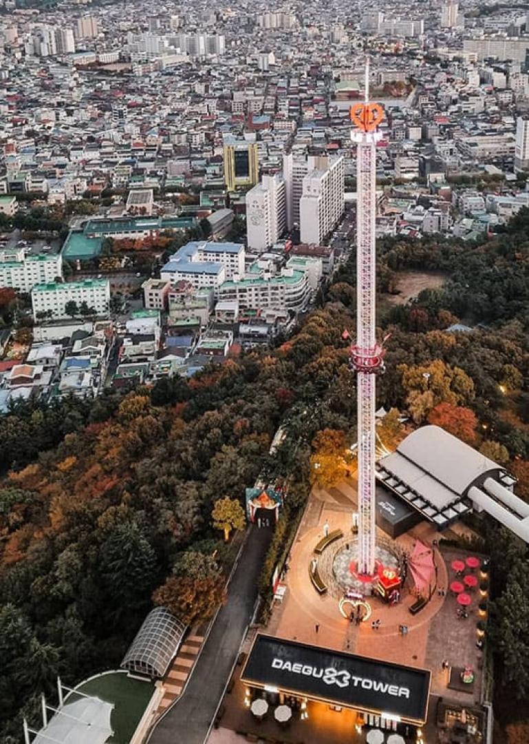 Daegu Food Tour - Secret Food Tours