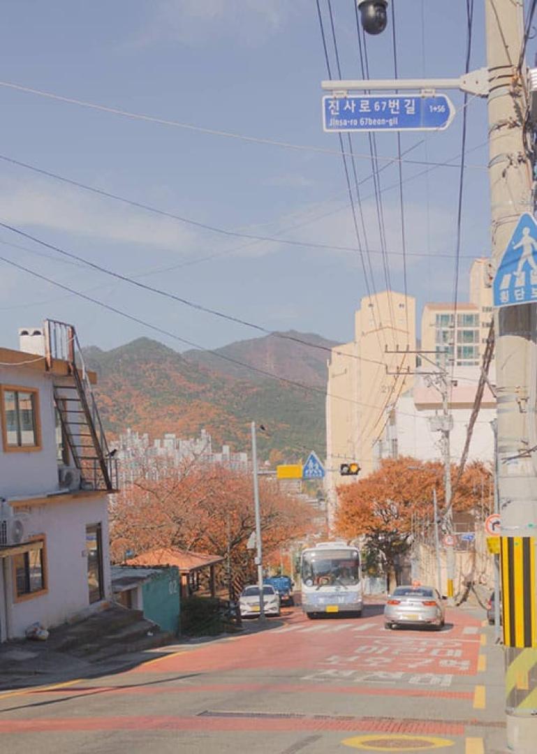 Busan Food Tour - Secret Food Tours