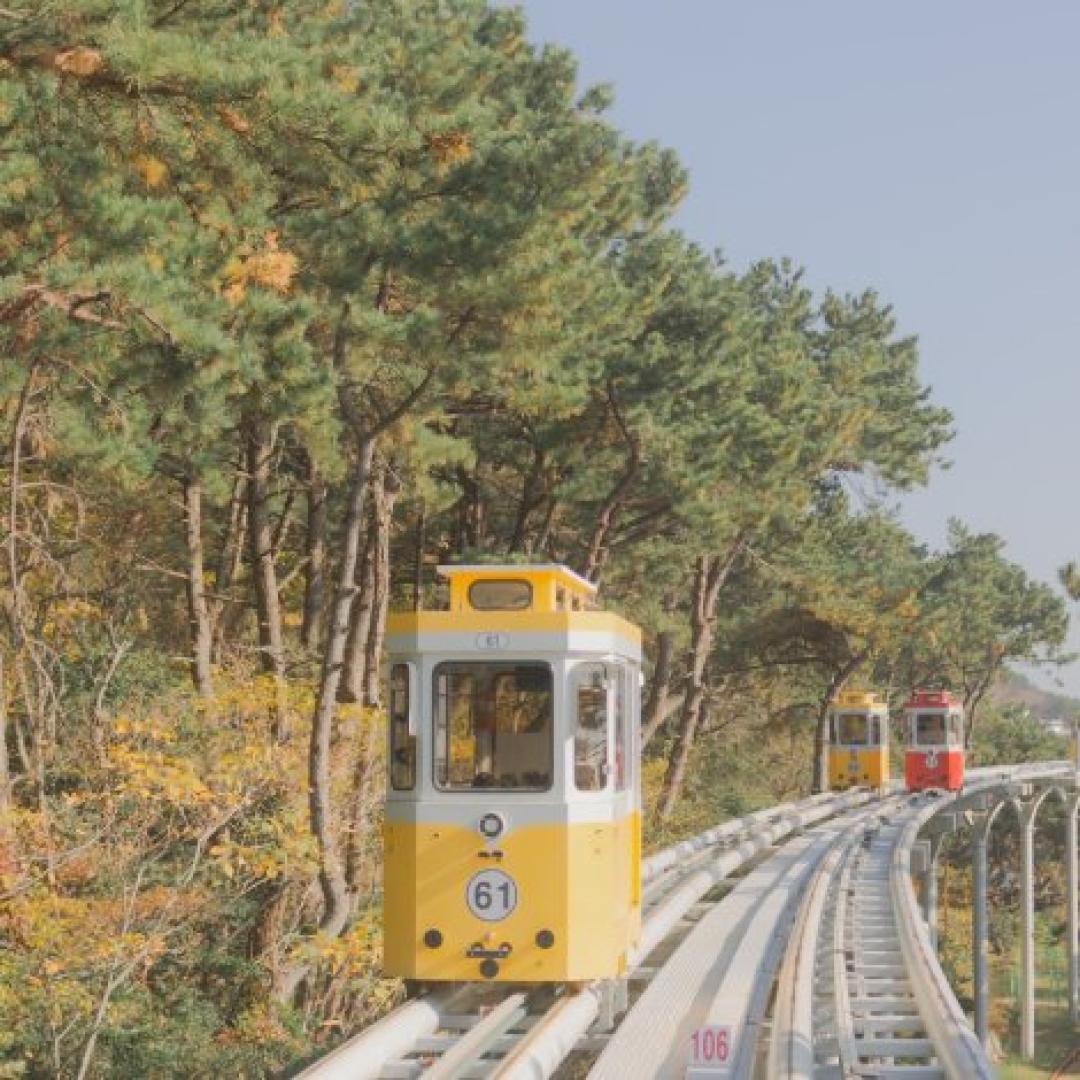 Photos of Secret Tours Busan