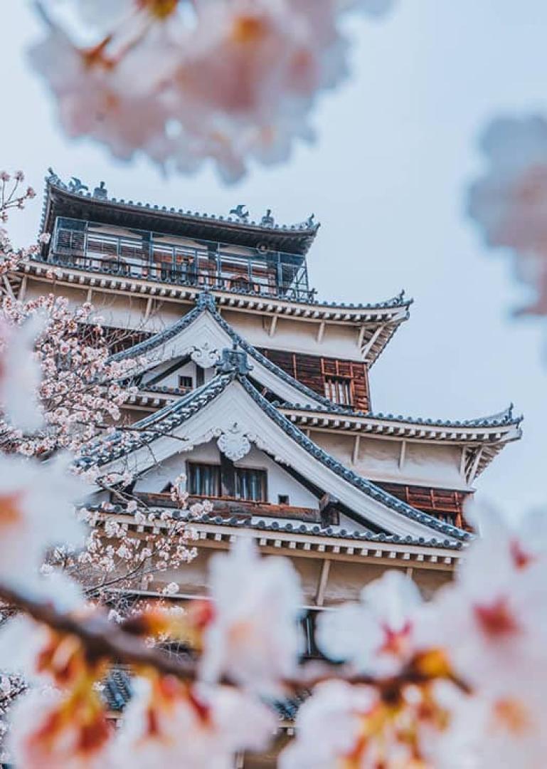 Hiroshima Food Tour - Secret Food Tours