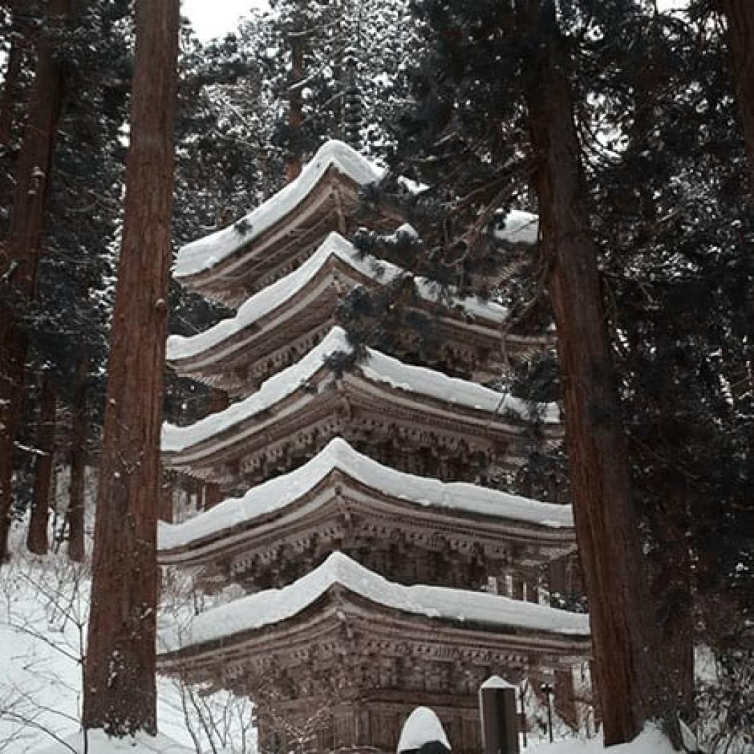 Photos of Secret Tours Tsuruoka