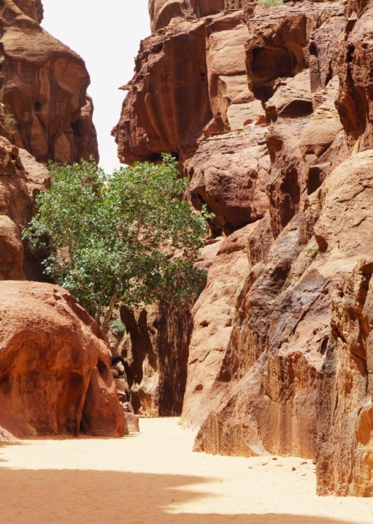 Jordan Food Tour  - Secret Food Tours