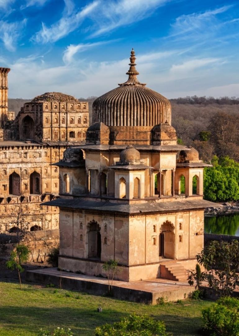India Food Tour  - Secret Food Tours