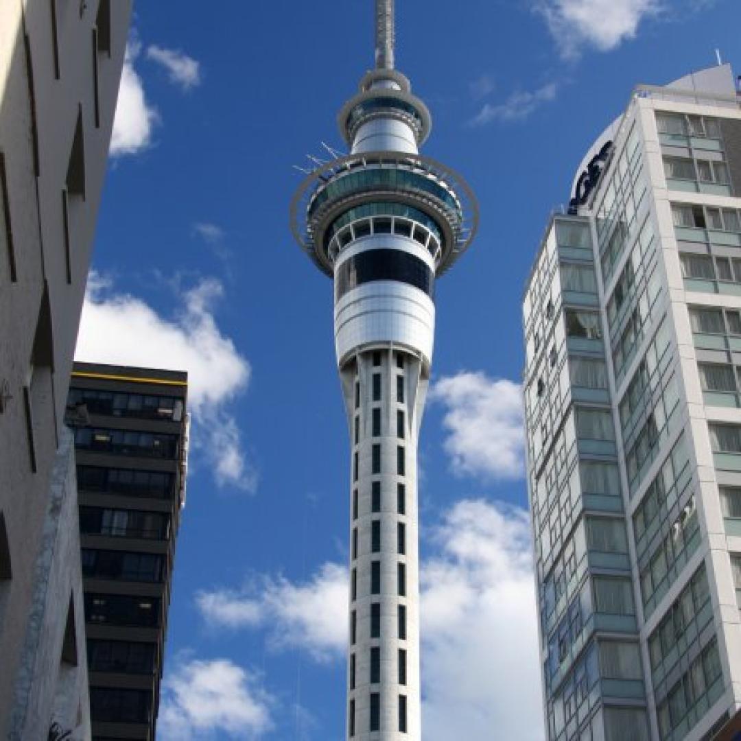 Photos of Secret Tours Auckland