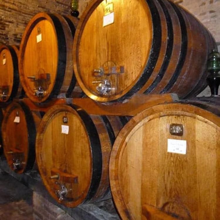 Photos of Secret Tours Montepulciano