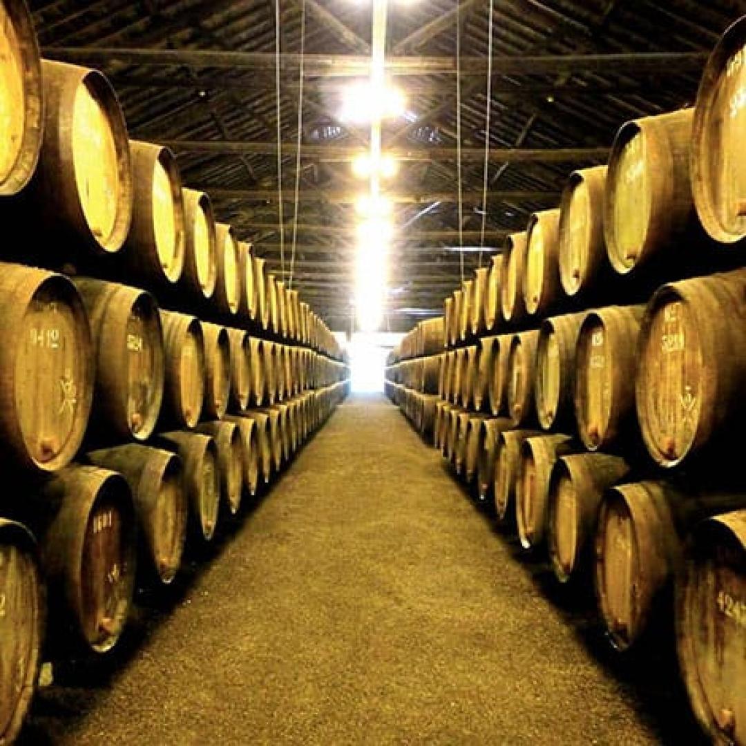 Photos of Secret Tours Vila Nova de Gaia