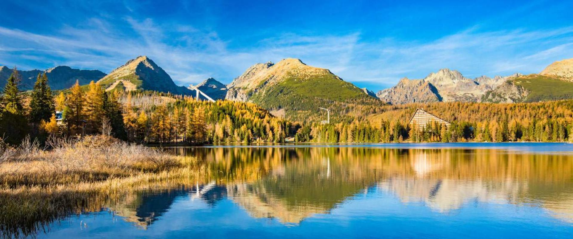 BackgroundImage