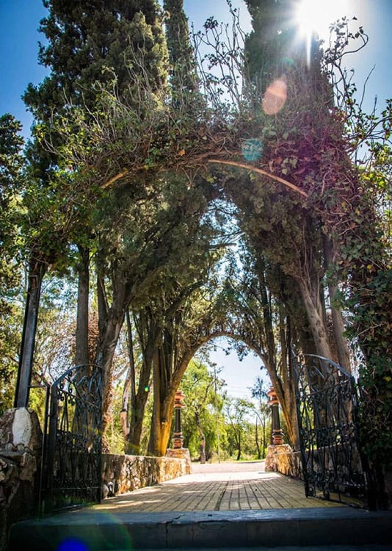 Mendoza Food Tour - Secret Food Tours