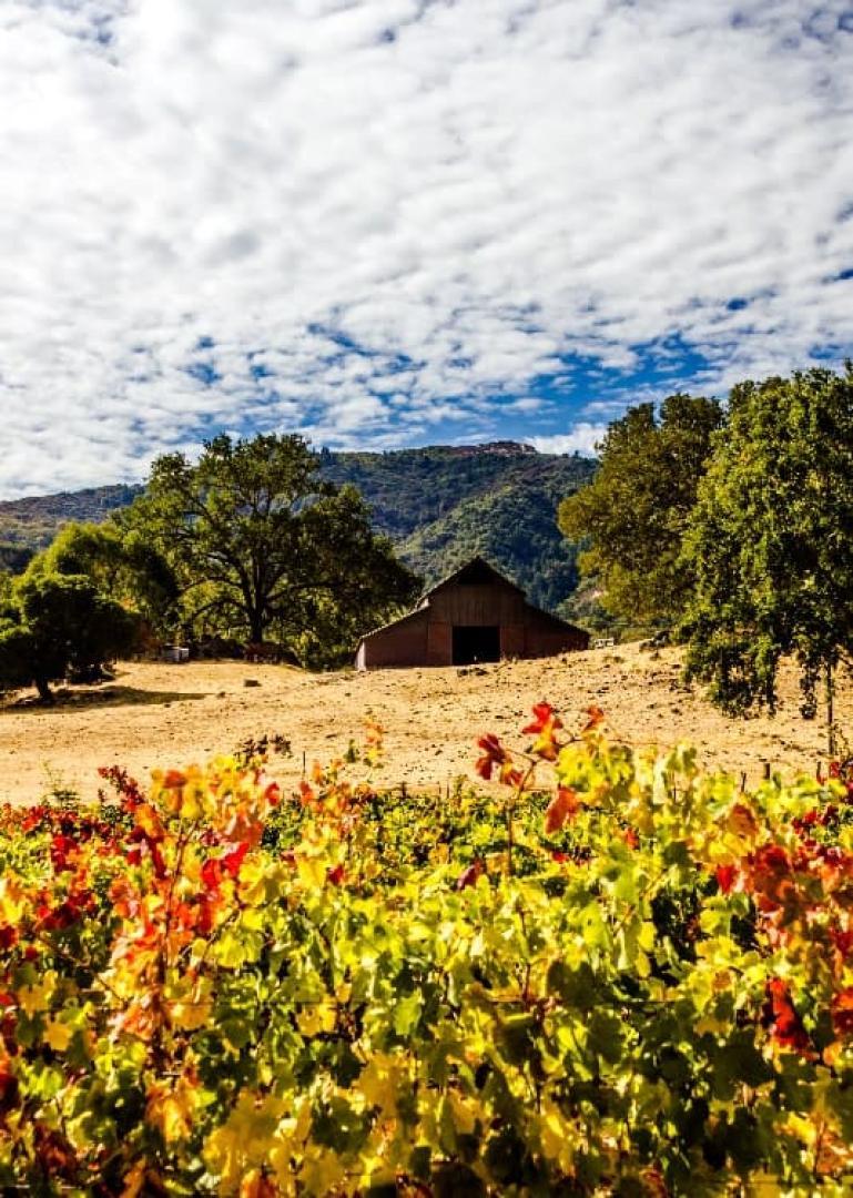 Healdsburg Food Tour - Secret Food Tours