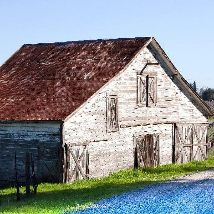 Photos of Secret Tours Healdsburg