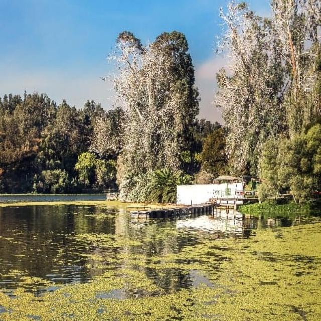 Photos of Secret Tours Sausalito