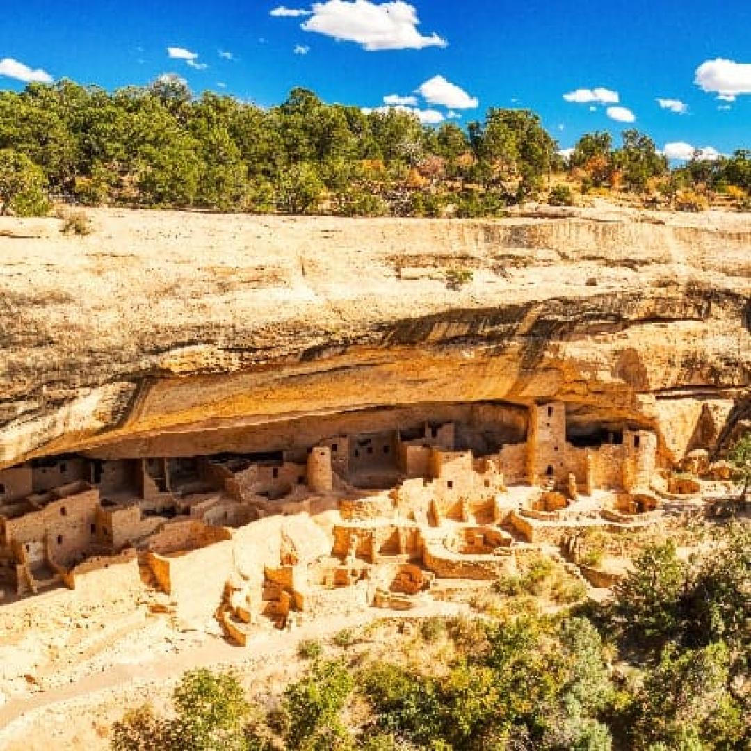Photos of Secret Tours Mesa