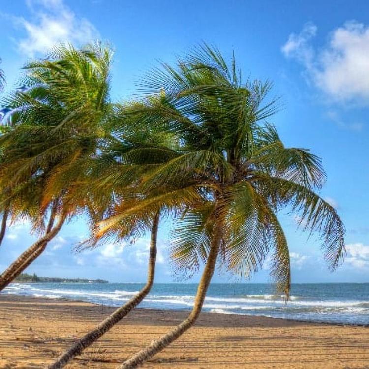 Photos of Secret Tours Puerto Rico