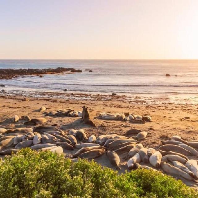 Photos of Secret Tours Seal Beach