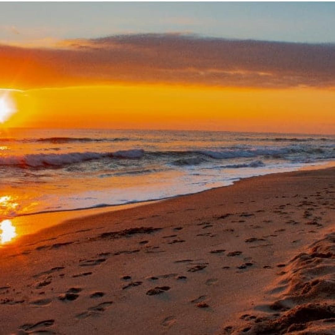 Photos of Secret Tours Virginia Beach