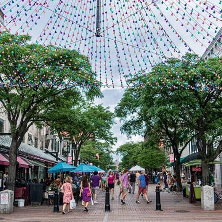 Photos of Secret Tours Burlington