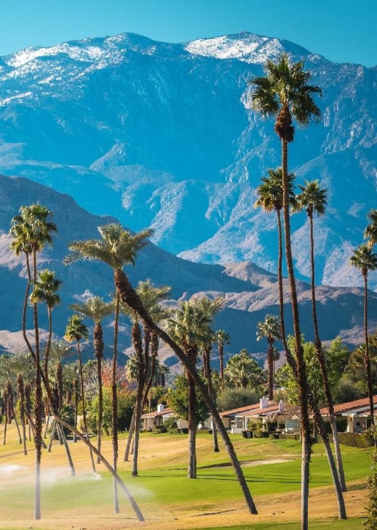 Palm Springs Food Tour - Secret Food Tours