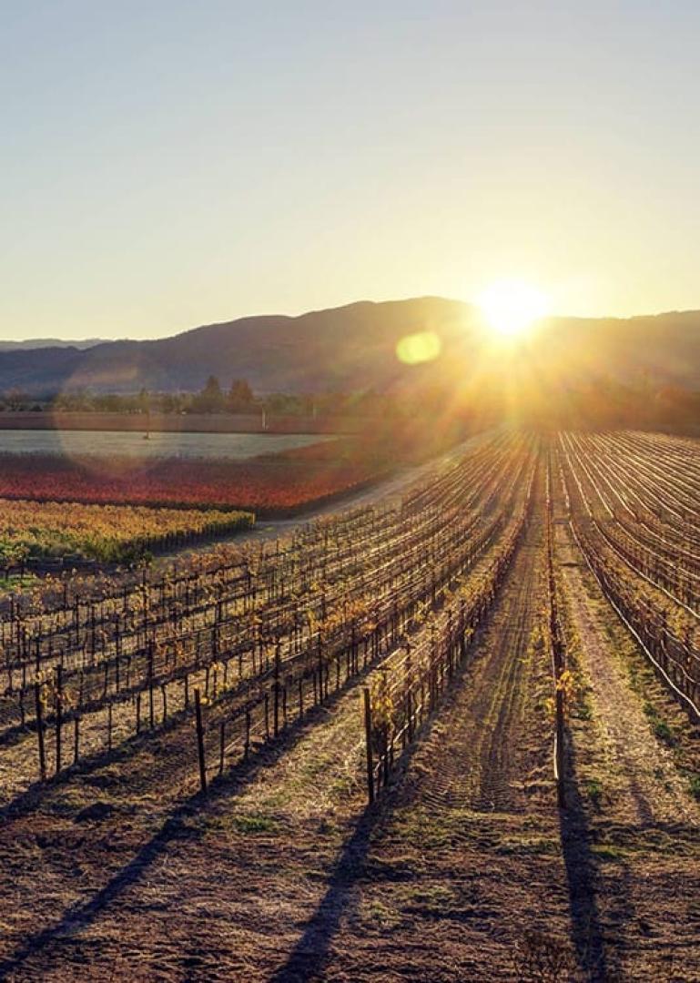 Menifee Food Tour - Secret Food Tours