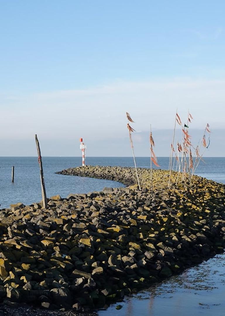 Harlingen Food Tour - Secret Food Tours