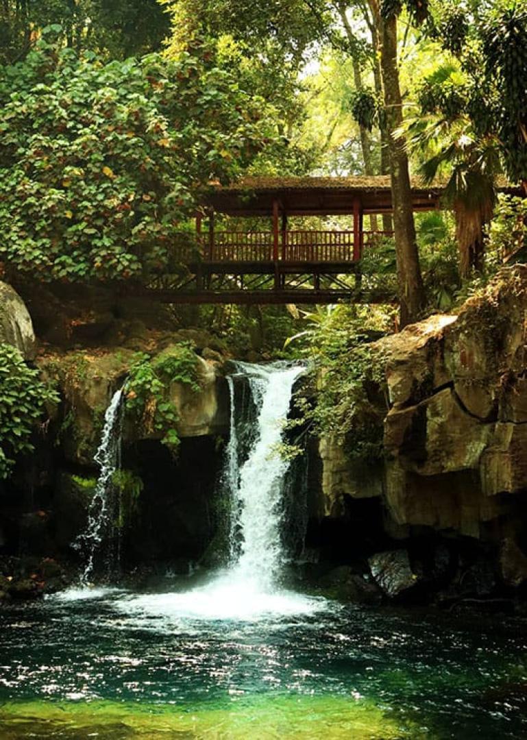 Uruapan Food Tour - Secret Food Tours