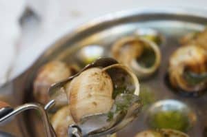 Escargot