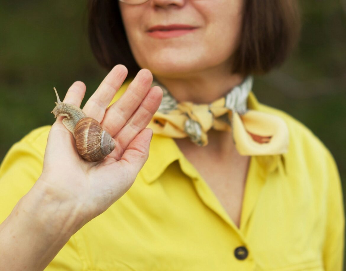 Escargot Escargot