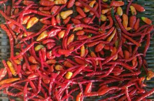 Mexico City Food Tours