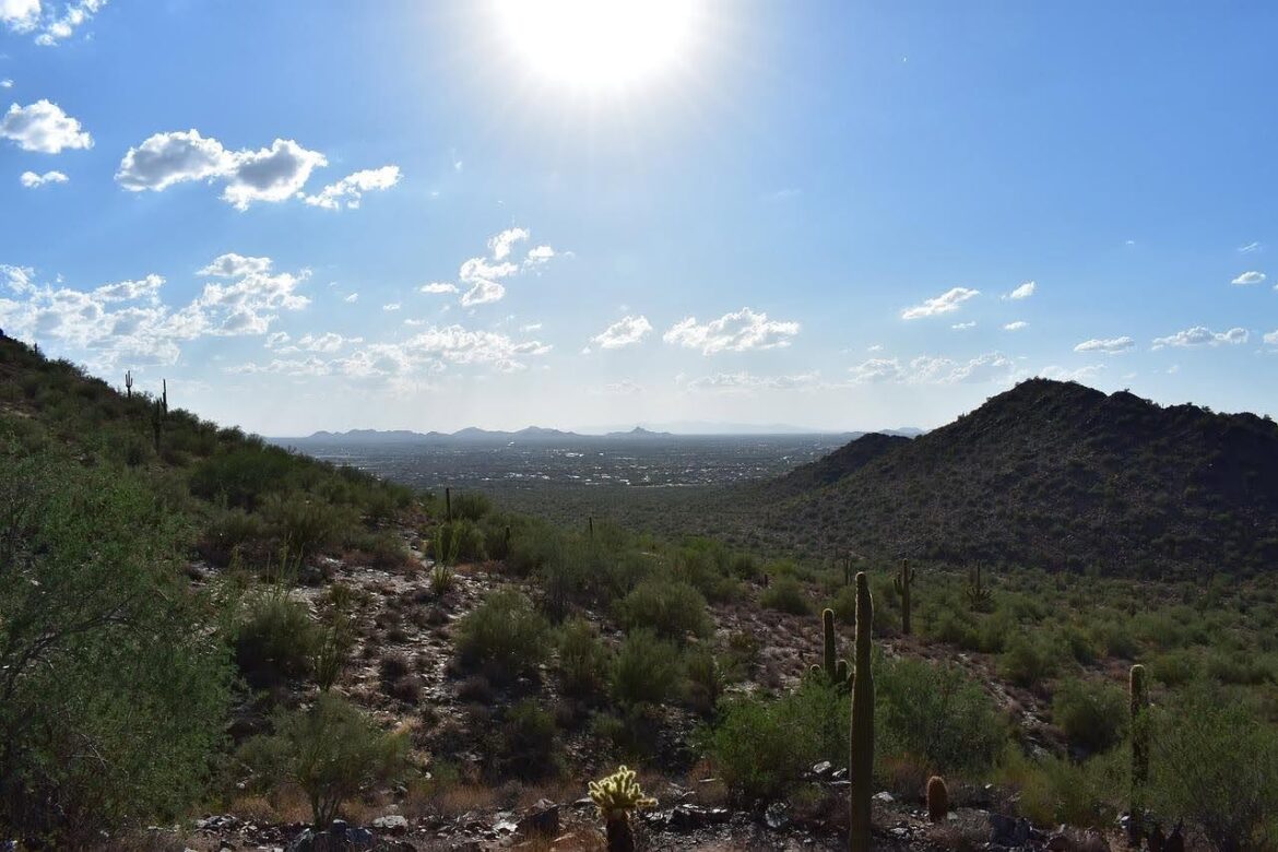 Desert landscape view in Scottsdale, Arizona with cacti and mountains under the sun.