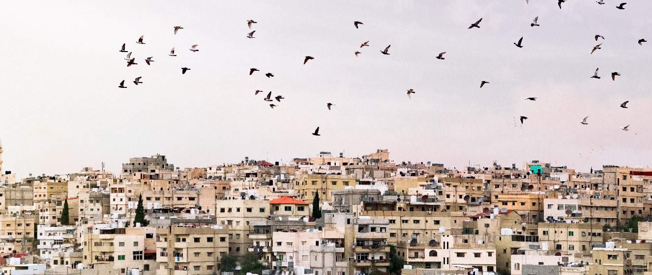 panoramic view of the city of amman with flock