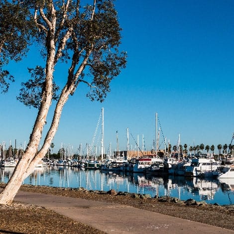 Pathway through the Chula Vista Bayfront park with boats moored in the marina