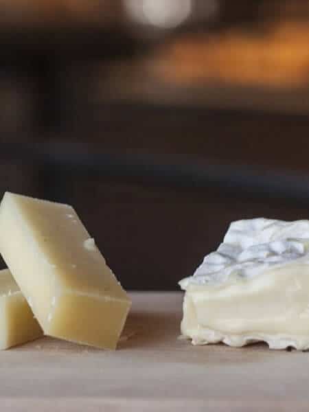 Cheese sample mobile