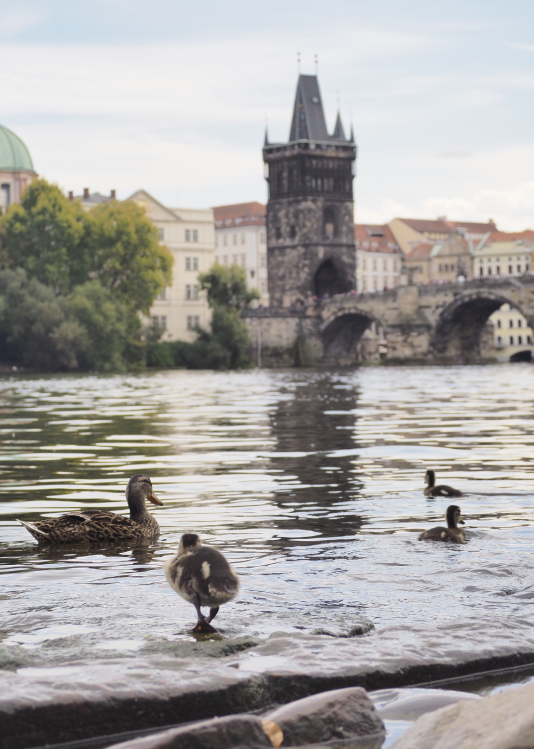 Prague - City View