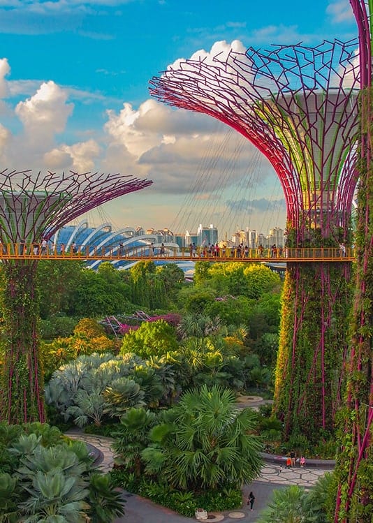 Singapore - City View